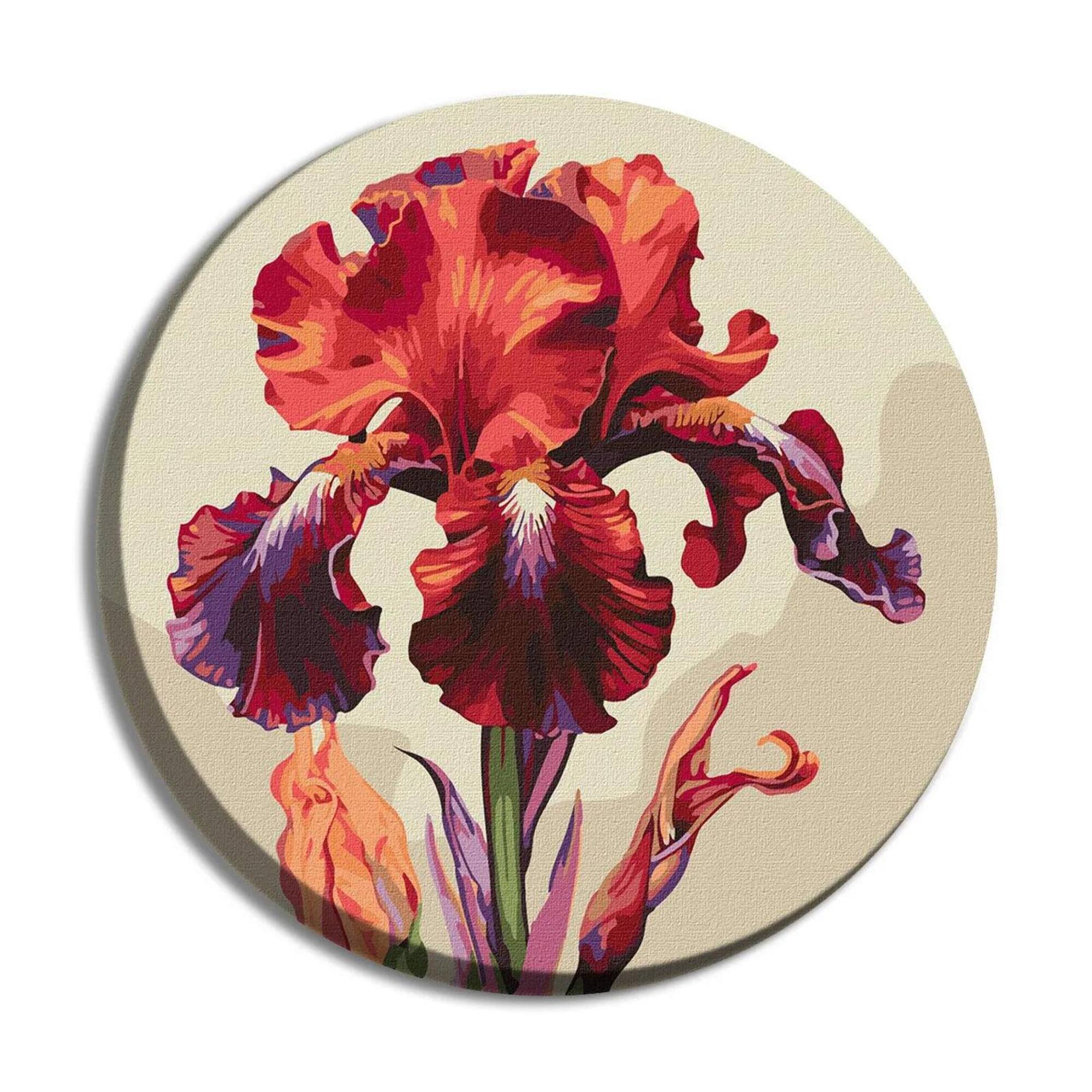 Ideyka Magic Iris Painting by Numbers Kit